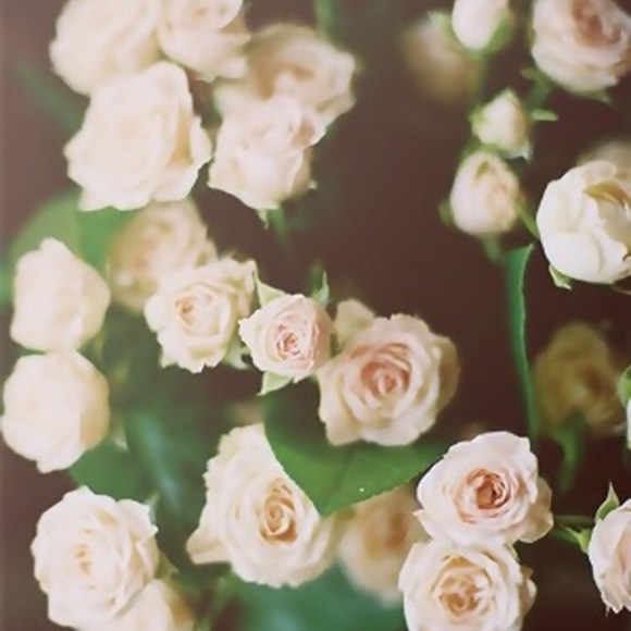 Meet your Posher, Rachel - Picture 1 of 1